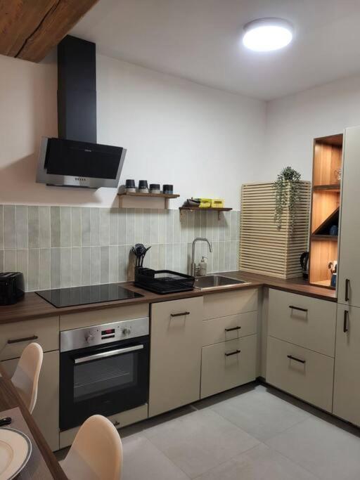 O Bon'Endroit - Appartement Confort - Centre Ville Vienne  Luaran gambar