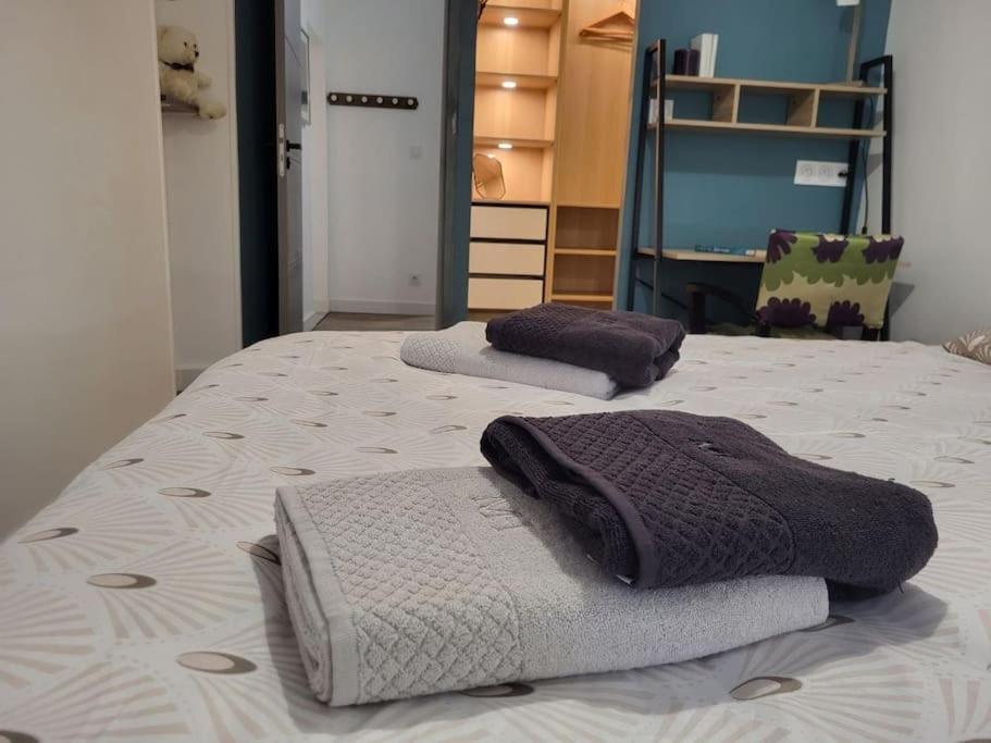 O Bon'Endroit - Appartement Confort - Centre Ville Vienne  Luaran gambar